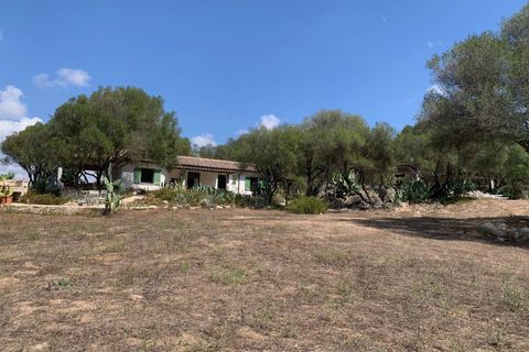 Villa i Olbia, Olbia Tempio, Olbia - € 1.080.000 | Ref: CBI096-996-360 - foto 19