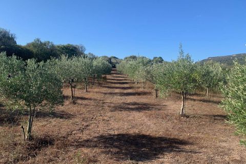 Villa i Olbia, Olbia Tempio, Olbia - € 1.080.000 | Ref: CBI096-996-360 - foto 30