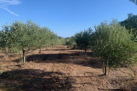Villa i Olbia, Olbia Tempio, Olbia - € 1.080.000 | Ref: CBI096-996-360 - foto 31