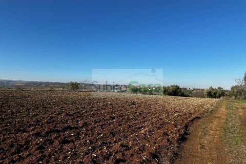 Helårsgrund i Rosciano, Pescara, Rosciano - € 129.000 | Ref: D 386 - foto 10