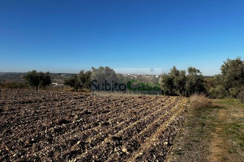 Helårsgrund i Rosciano, Pescara, Rosciano - € 129.000 | Ref: D 386 - foto 13