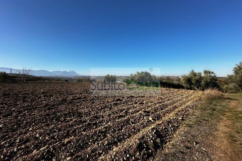 Helårsgrund i Rosciano, Pescara, Rosciano - € 129.000 | Ref: D 386 - foto 14