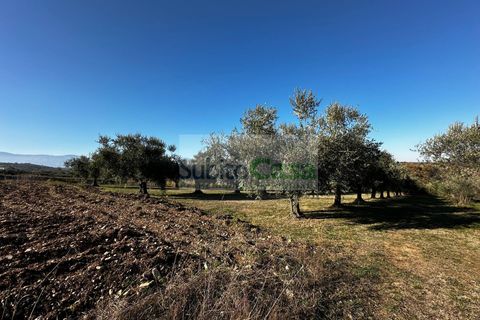 Helårsgrund i Rosciano, Pescara, Rosciano - € 129.000 | Ref: D 386 - foto 15