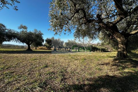 Helårsgrund i Rosciano, Pescara, Rosciano - € 129.000 | Ref: D 386 - foto 16