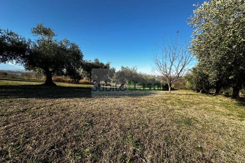 Helårsgrund i Rosciano, Pescara, Rosciano - € 129.000 | Ref: D 386 - foto 17
