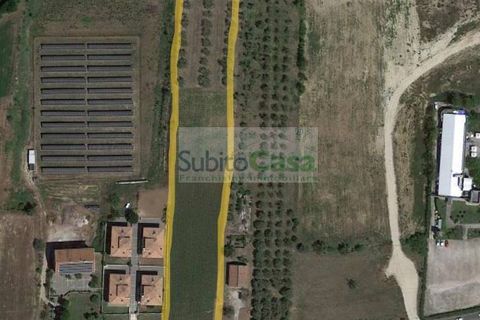 Helårsgrund i Rosciano, Pescara, Rosciano - € 129.000 | Ref: D 386 - foto 19