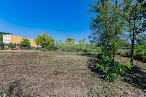 Tomt i Cepagatti, Pescara, Cepagatti - € 18 000 | Ref: D 293 - foto 2