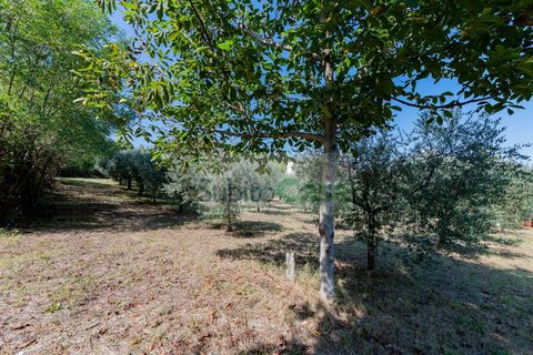 Tomt i Cepagatti, Pescara, Cepagatti - € 18 000 | Ref: D 293 - foto 4