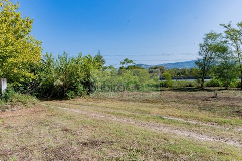 Tomt i Cepagatti, Pescara, Cepagatti - € 18 000 | Ref: D 293 - foto 7
