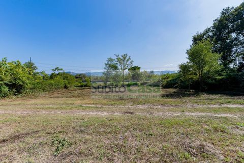 Tomt i Cepagatti, Pescara, Cepagatti - € 18 000 | Ref: D 293 - foto 8