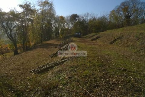 Helårsgrund i Brendola, Vicenza, Brendola - € 135.000 | Ref: 603 - foto 2