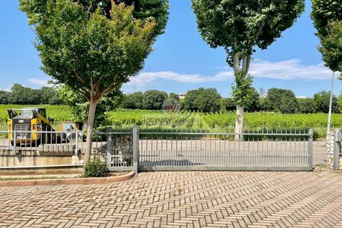 Erhvervsejendom i Alonte, Vicenza, Alonte - € 650.000 | Ref: 697 - foto 5