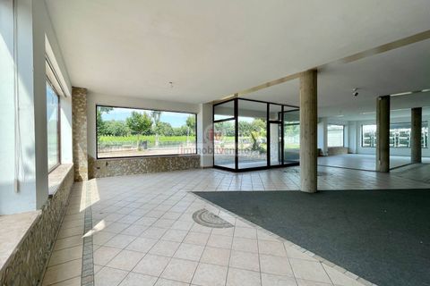 Erhvervsejendom i Alonte, Vicenza, Alonte - € 650.000 | Ref: 697 - foto 9