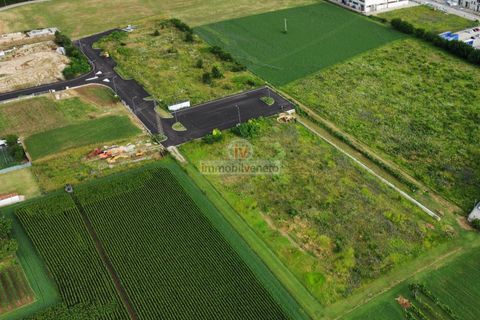 Helårsgrund i Brendola, Vicenza, Brendola - € 1.650.000 | Ref: 702 - foto 1