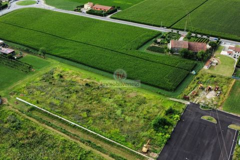 Helårsgrund i Brendola, Vicenza, Brendola - € 1.650.000 | Ref: 702 - foto 2