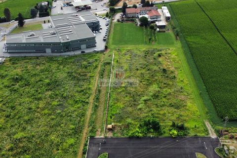 Helårsgrund i Brendola, Vicenza, Brendola - € 1.650.000 | Ref: 702 - foto 3