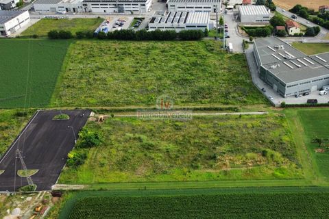Helårsgrund i Brendola, Vicenza, Brendola - € 1.650.000 | Ref: 702 - foto 4