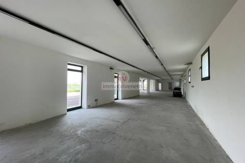 Erhvervsejendom i Lonigo, Vicenza, Lonigo - € 800.000 | Ref: 778 - foto 7