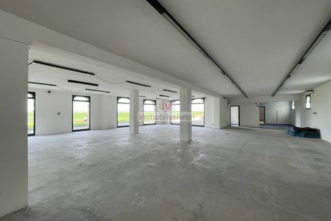 Erhvervsejendom i Lonigo, Vicenza, Lonigo - € 800.000 | Ref: 778 - foto 8