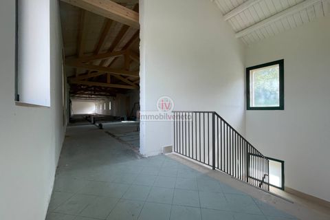 Erhvervsejendom i Lonigo, Vicenza, Lonigo - € 800.000 | Ref: 778 - foto 14