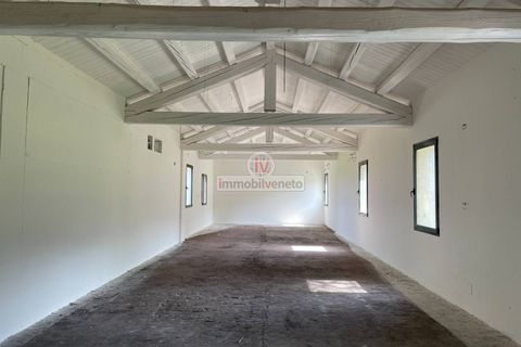 Erhvervsejendom i Lonigo, Vicenza, Lonigo - € 800.000 | Ref: 778 - foto 15