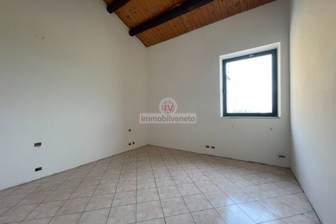Erhvervsejendom i Lonigo, Vicenza, Lonigo - € 800.000 | Ref: 778 - foto 23