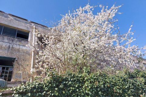 Helårsgrund i Turbigo, Milan, Turbigo - € 3.000.000 | Ref: 505I - foto 21