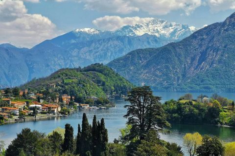 Terra a Monguzzo, Como, Monguzzo - € 250.000 | Ref: 507M - foto 14