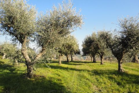 Landejendom i Monte Roberto, Ancona, Monte Roberto - € 120.000 | Ref: CD71 - foto 2