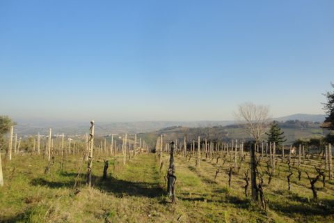 Landejendom i Monte Roberto, Ancona, Monte Roberto - € 120.000 | Ref: CD71 - foto 3