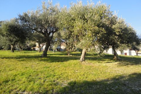 Landejendom i Monte Roberto, Ancona, Monte Roberto - € 120.000 | Ref: CD71 - foto 4