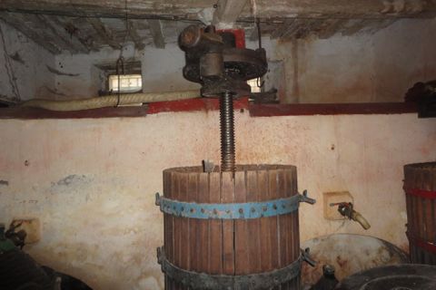Landejendom i Monte Roberto, Ancona, Monte Roberto - € 120.000 | Ref: CD71 - foto 7
