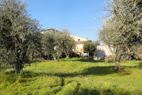 Landejendom i Monte Roberto, Ancona, Monte Roberto - € 120.000 | Ref: CD71 - foto 9