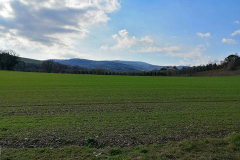 Landejendom i Staffolo, Ancona, Staffolo - € 170.000 | Ref: CD74 - foto 5