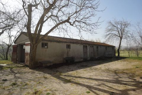 Herregård i Cingoli, Macerata, Cingoli - € 230 000 | Ref: CD75 - foto 6