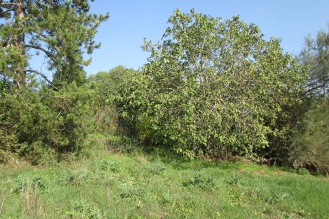 Landejendom i Jesi, Ancona, Jesi - € 260.000 | Ref: CD80 - foto 12
