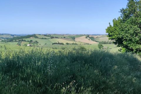 Terra a Serra de' Conti, Ancona, Serra de' Conti - € 85.000 | Ref: TA82 - foto 2