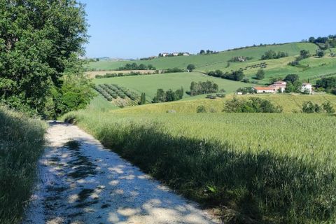 Terra a Serra de' Conti, Ancona, Serra de' Conti - € 85.000 | Ref: TA82 - foto 4
