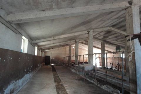 Casa rural em Cingoli, Macerata, Cingoli - € 210.000 | Ref: CR323 - foto 11