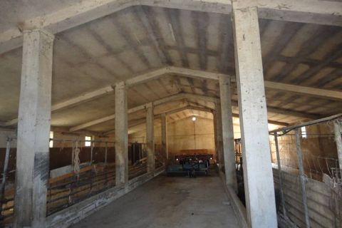 Casa rural em Cingoli, Macerata, Cingoli - € 210.000 | Ref: CR323 - foto 12