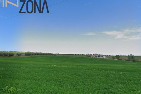 Landejendom i Spoltore, Pescara, Spoltore - € 294.130 | Ref: 2772 - foto 5