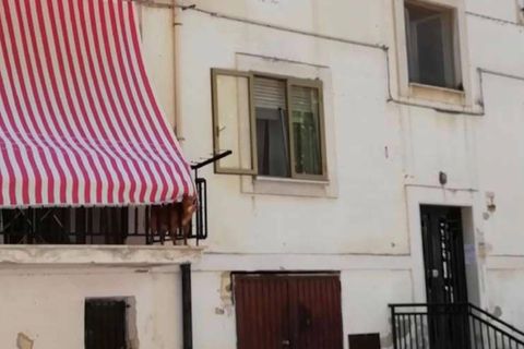 Leilighet i San Severo, Foggia, San Severo - € 13 793 | Ref: 3987 - foto 20