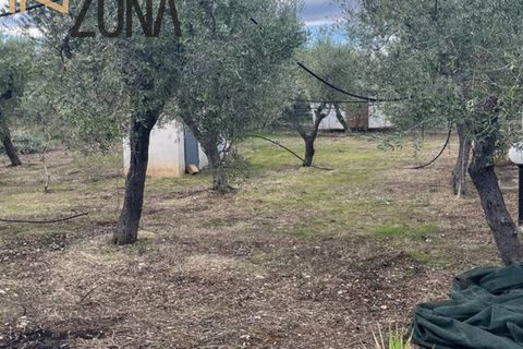Leilighet i Vieste, Foggia, Vieste - € 83 836 | Ref: 4035 - foto 10