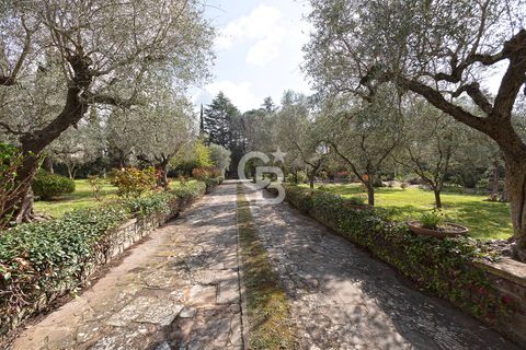 Villa i Viterbo, Viterbo, Viterbo - € 439.000 | Ref: CBI006-2280-332913 - foto 39