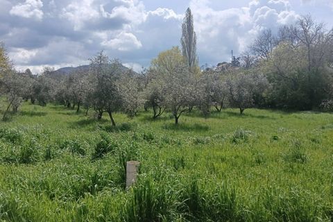 Villa i Viterbo, Viterbo, Viterbo - € 49.000 | Ref: CBI006-4-332920 - foto 2
