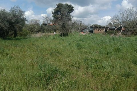Villa i Viterbo, Viterbo, Viterbo - € 49.000 | Ref: CBI006-4-332920 - foto 3
