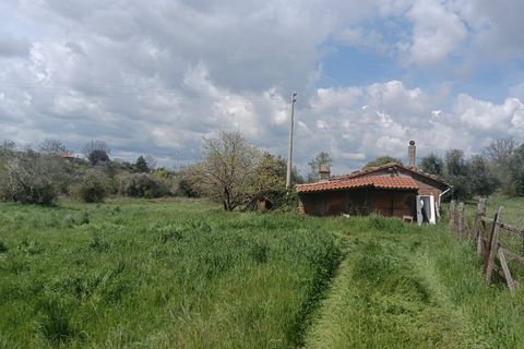 Villa i Viterbo, Viterbo, Viterbo - € 49.000 | Ref: CBI006-4-332920 - foto 5