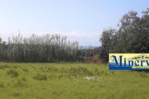 Helårsgrund i Anzio, Rome, Anzio - € 200.000 | Ref: T. 56 - foto 4