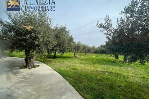 Villa i Sciacca, Agrigento, Sciacca - € 369.000 | Ref: SC01-0028 - foto 38