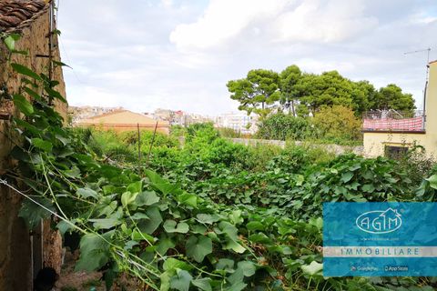 Landejendom i Palermo, Palermo, Palermo - € 145.000 | Ref: 981 - foto 6